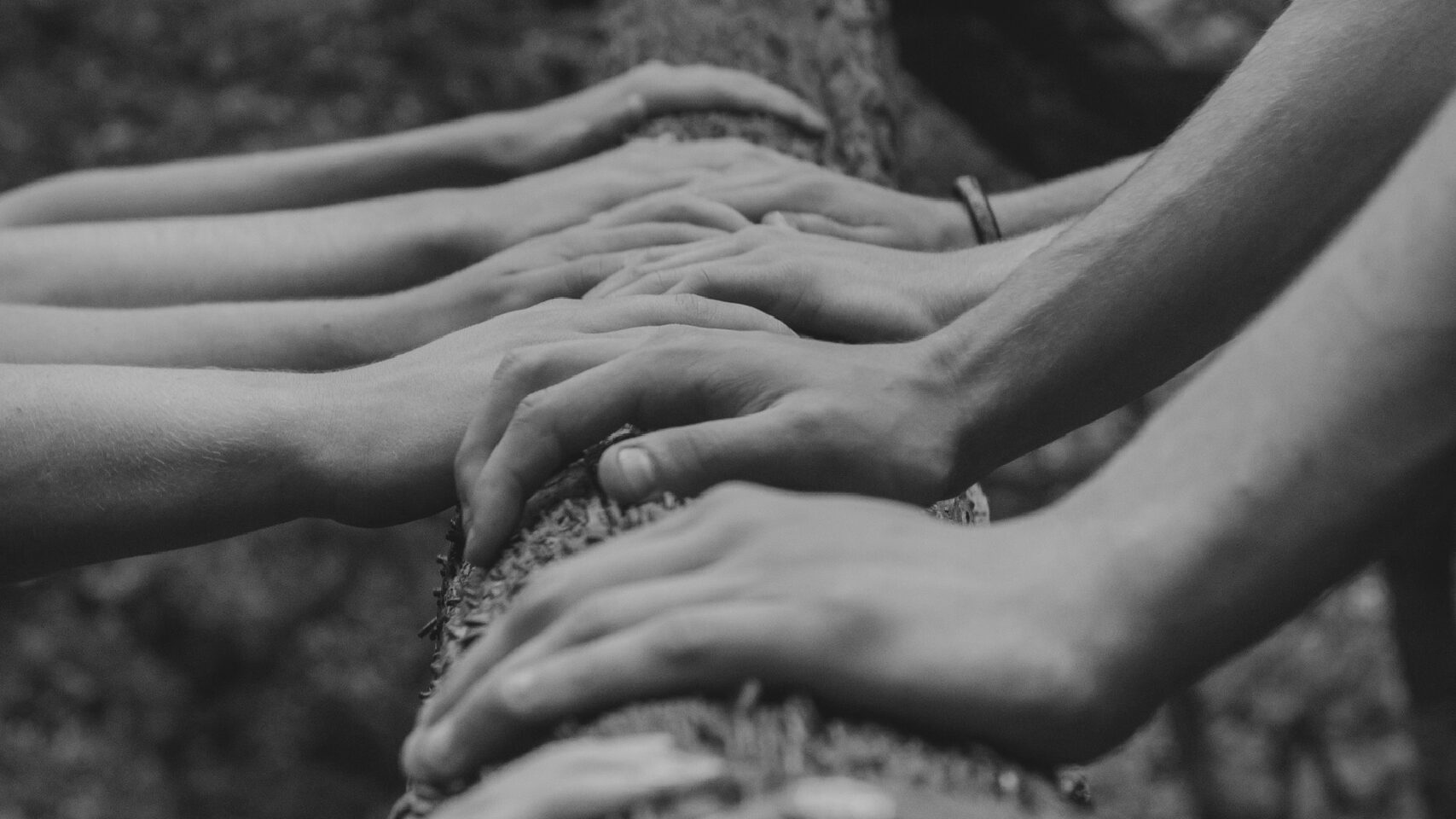 ¿Tu encuesta de engagement está ayudando… o solo midiendo?